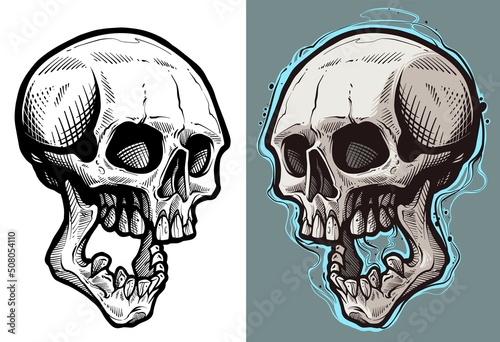 Detailed graphic hand drawn realistic black and white angry human skull with open jaw. Isolated on white background. Tattoo outline. Vector icon.