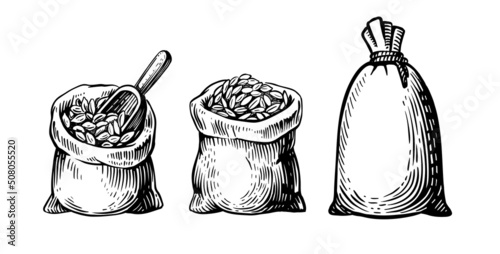 Hand drawn wheat. Grains in bag sketch drawing.