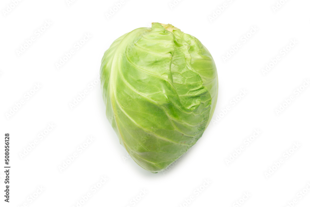 Cabbage isolated on white background.