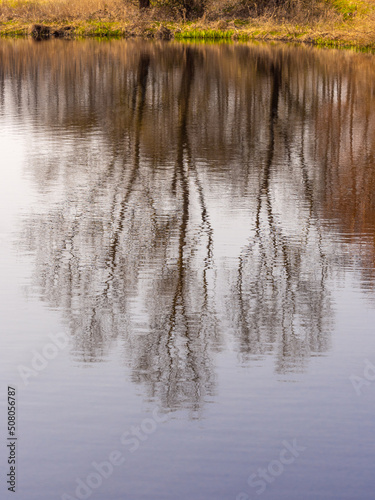 Abstract Reflections of winter trees in pond at Arley hall Cheshire, UK