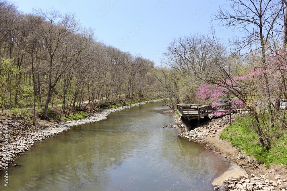 The flowing creek in the woods on a sunny spring day.