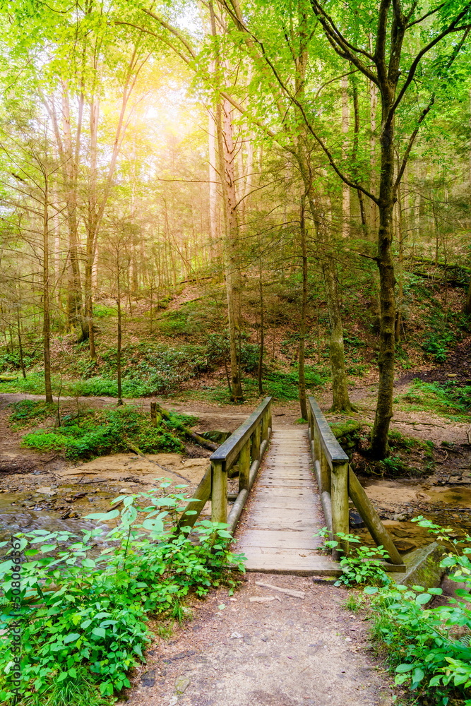 Obraz premium Footbridge on a trail