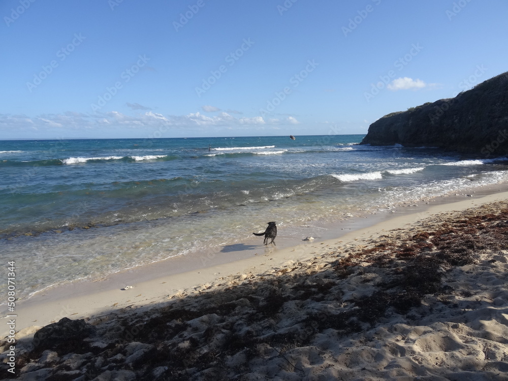 Les vagues et la mer sous le ciel bleu Les vagues et la mer sous le ciel bleu