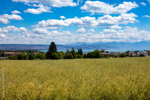 Vue de loin de la ville de Lausanne depuis St-Prex