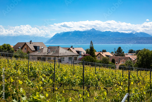 Maisons et villas du village de St-prex avec le lac Léman et les Alpes