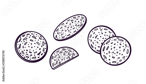 Pieces of salami sausage. Hand drawn vector gastronomy illustration, for cafe, menu, cuisine, cosmetics. Meat product.