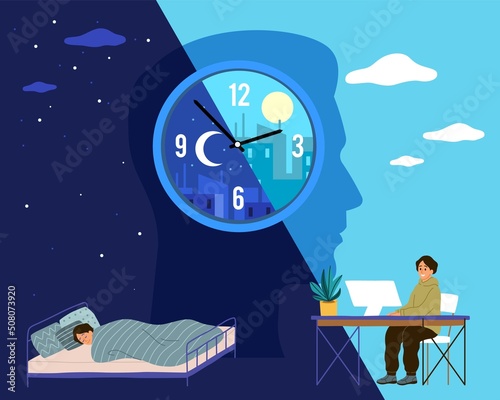 Human biological clock. Time for sleep and work, man in bed at night and working at computer during day, healthy lifestyle. Harmonious circadian rhythm, vector cartoon flat concept