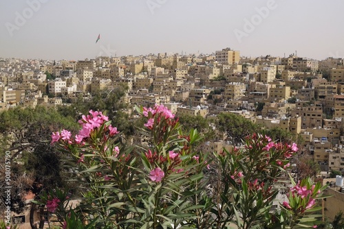 Panorama of Amman city from the vicinity of the Citadel, Jordan