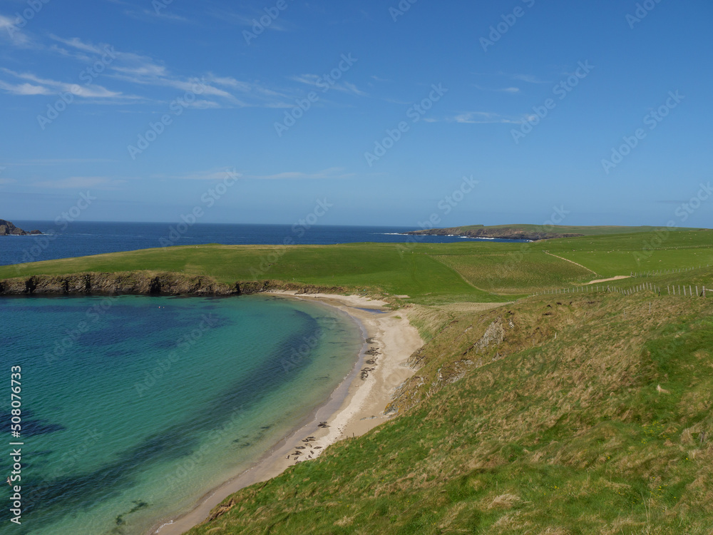 Frühling auf den Shetland-Inseln Frühling auf den Shetland-Inseln