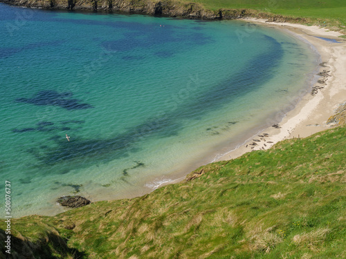 Frühling auf den Shetland-Inseln