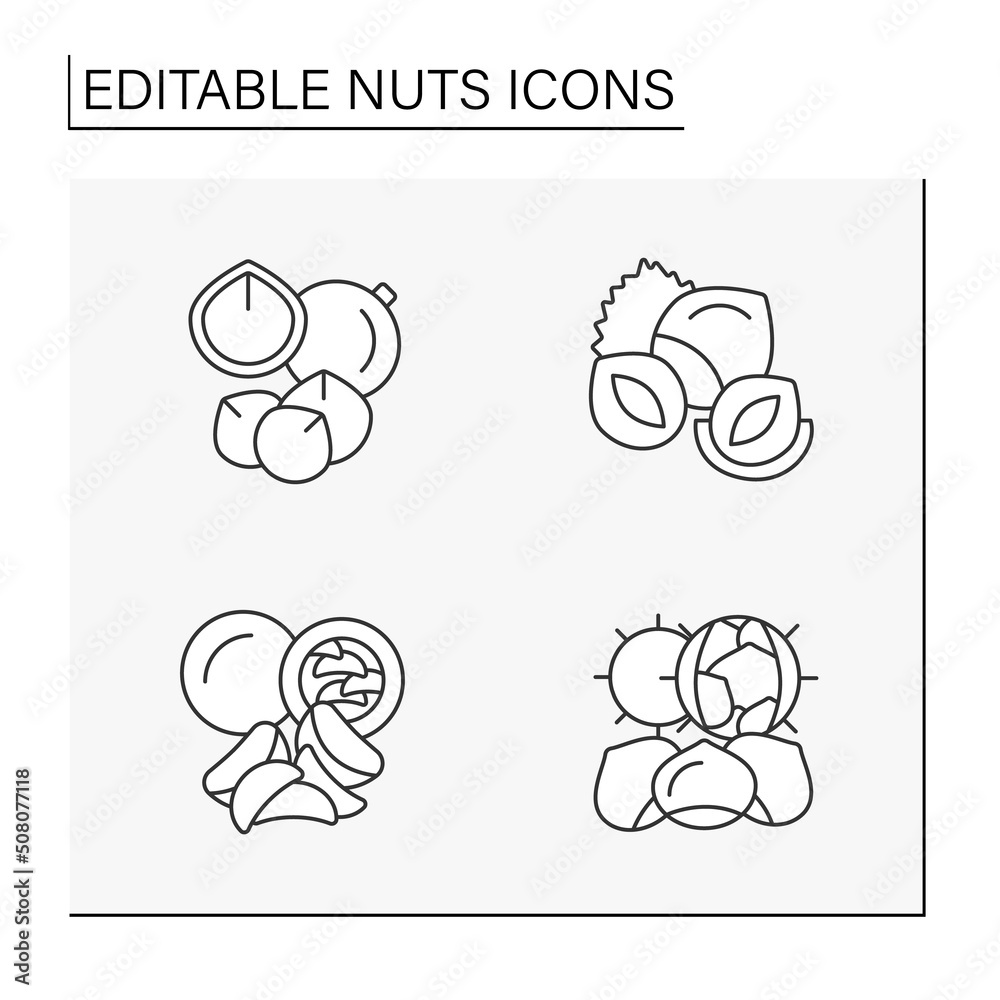  Nuts line icons set. Macadamia and brazilia nut, hazelnut, chestnuts. Ingredients for food preparation.Balanced nutrition concept. Isolated vector illustration. Editable stroke