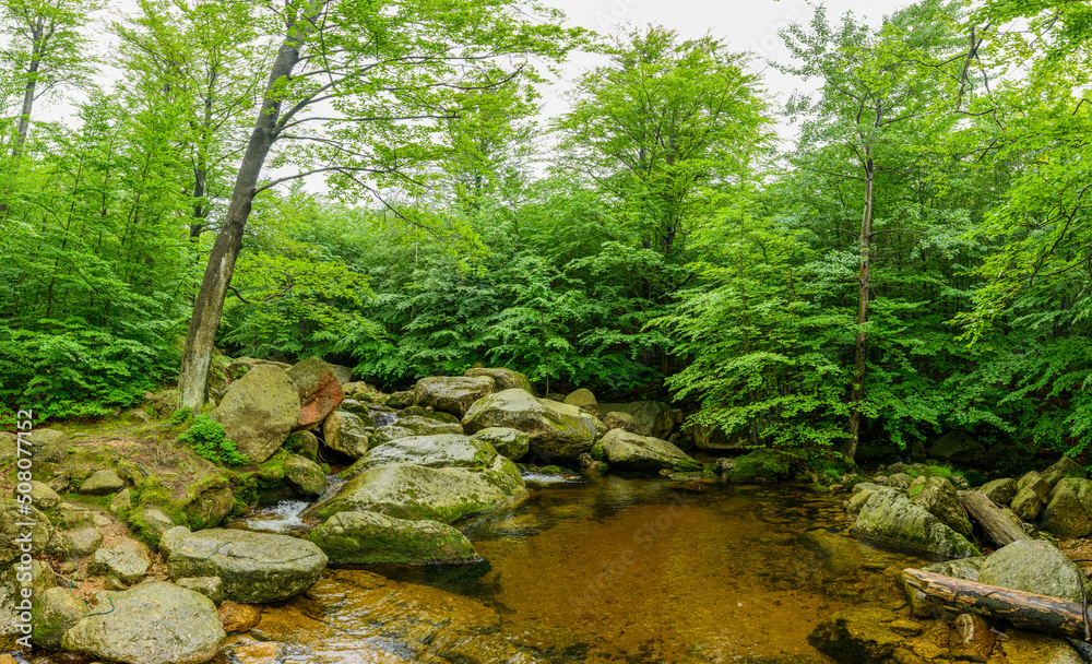 lagoon on creek next to big boulders in forest lagoon on creek next to big boulders in forest