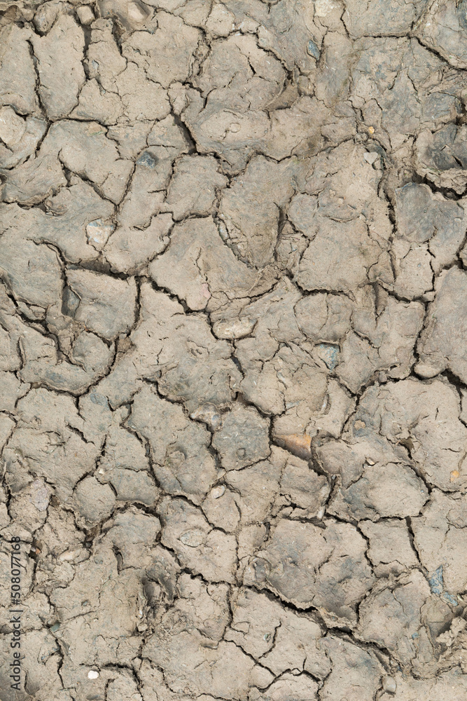 dry cracked earth texture background dry cracked earth texture background