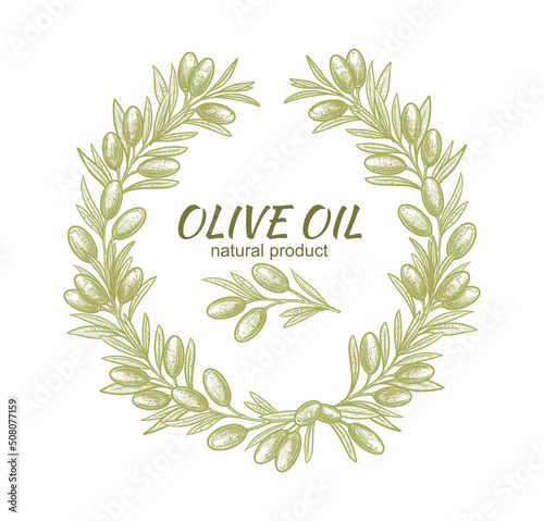 Olive branches frame. Vector illustrations of branches with fruits and leaves for creating logos, patterns, greeting cards, wedding invitations