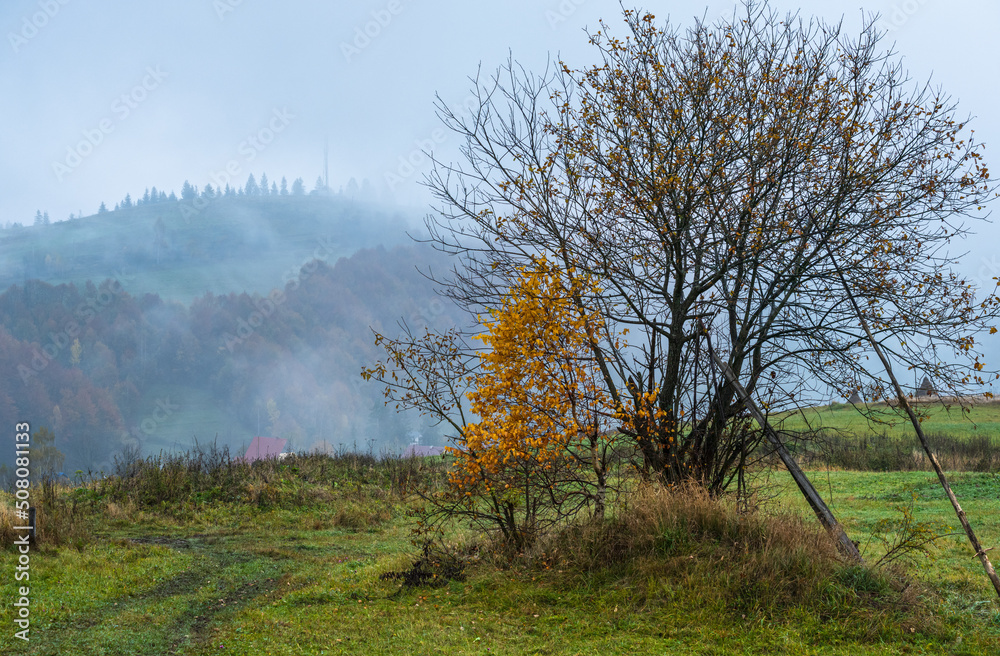 Obraz premium Cloudy and foggy autumn mountains scene. Peaceful picturesque traveling, seasonal, nature and countryside beauty concept scene. Carpathian Mountains, Ukraine.