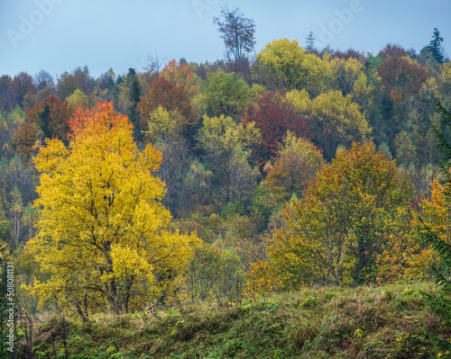 Cloudy and foggy morning autumn meadow scene. Peaceful picturesque traveling, seasonal, nature and countryside beauty concept scene. Carpathian Mountains, Ukraine.