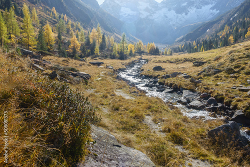 Gebirgsbach durch eine Herbstlandschaft
