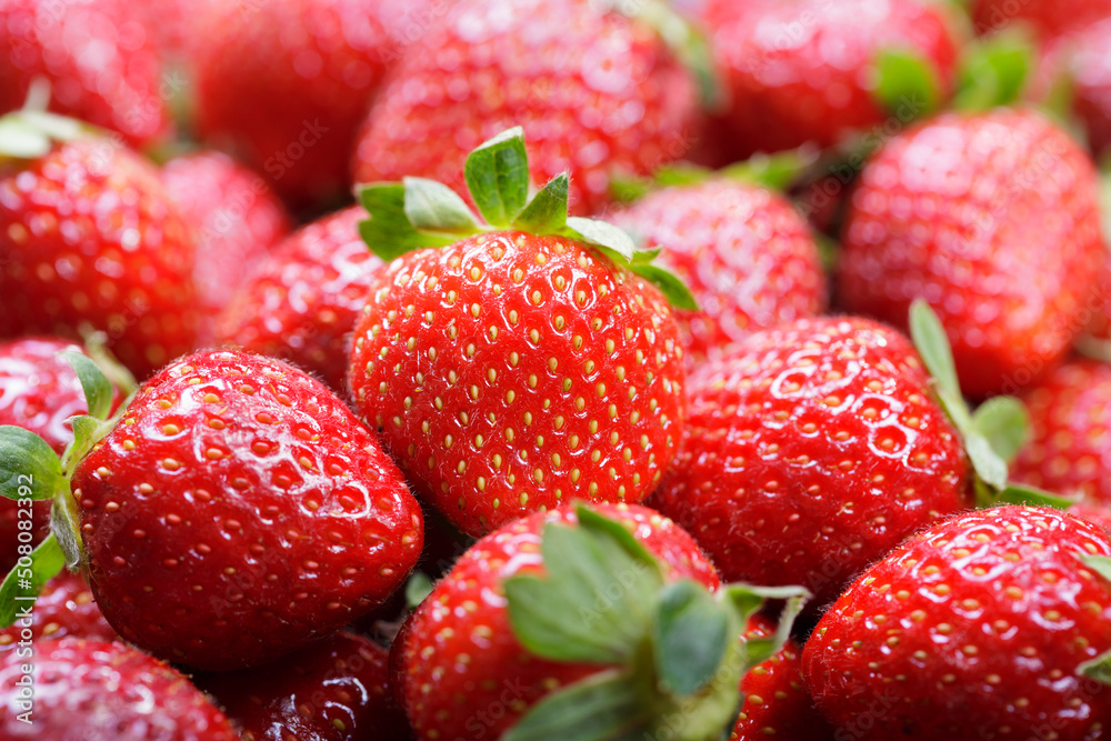 fresh strawberries as background fresh strawberries as background