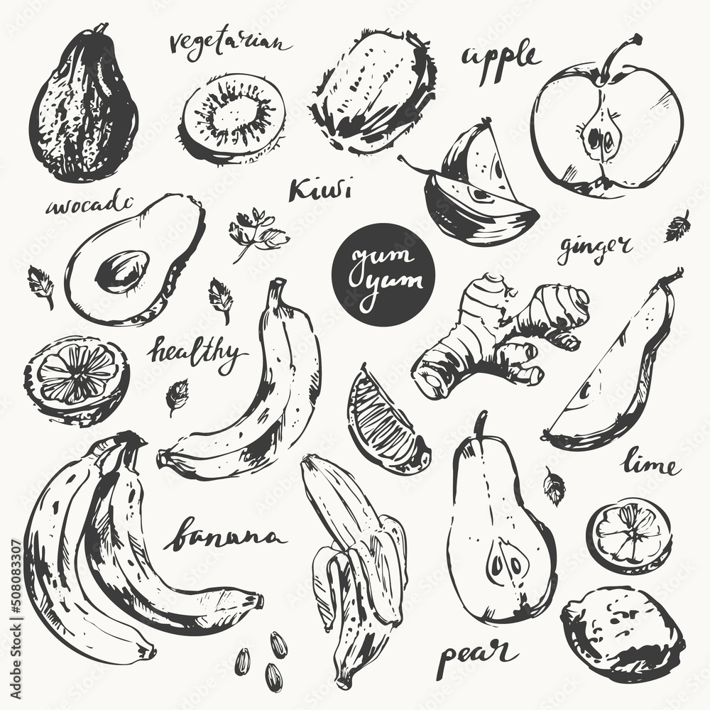 Realistic fruits vector illustration for food menu, label and packaging design Realistic fruits vector illustration for food menu, label and packaging design