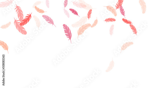 Flying feather elements airy vector design.