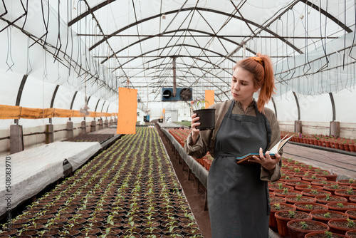 small business owner or professional gardener examines young plants in greenhouse
