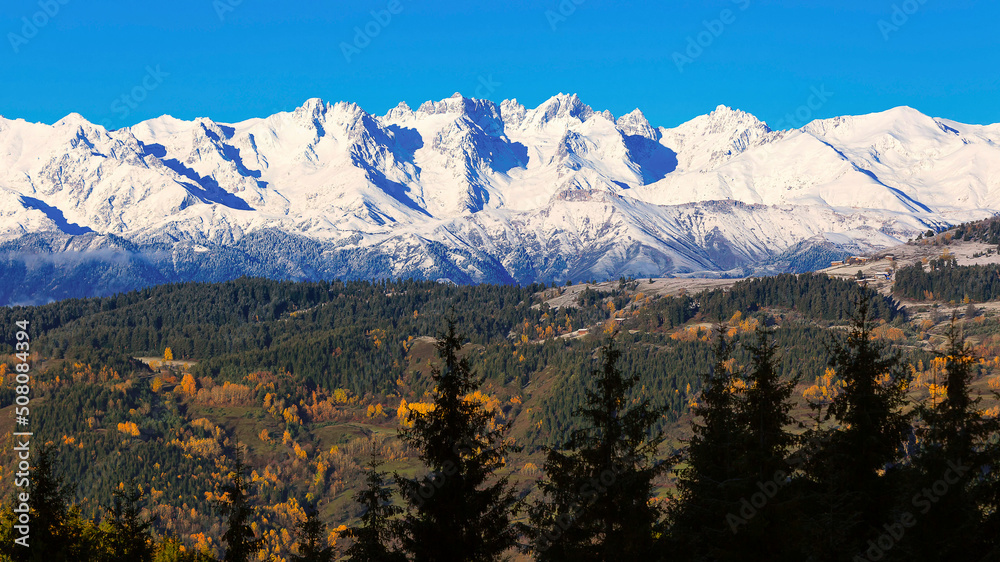 yellowed trees in autumn and big snowy mountains in the background