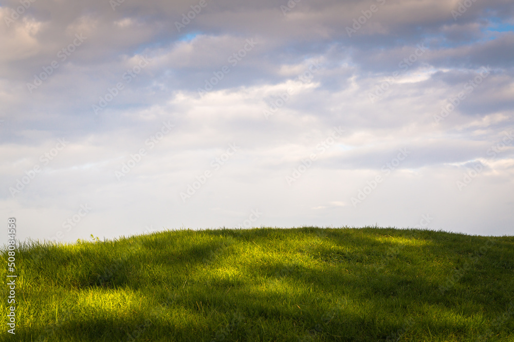 Fototapeta premium green field and blue sky