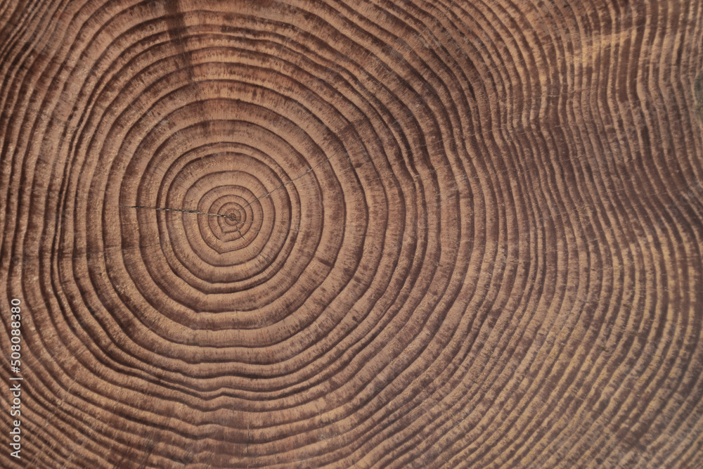 Obraz premium drewniany stolik deseń