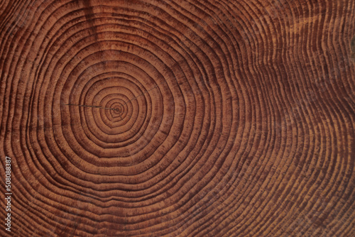 drewniany stolik deseń