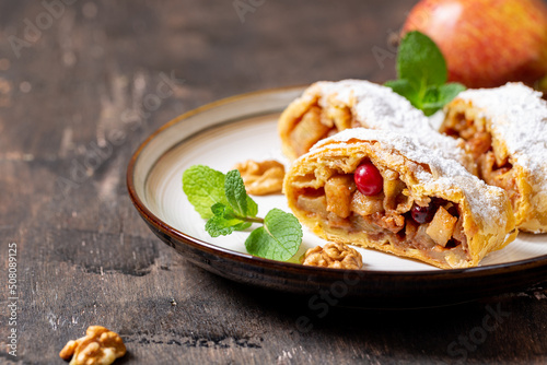 homemade fragrant strudel with apples and cinnamon on a plate on a wooden background with space for text