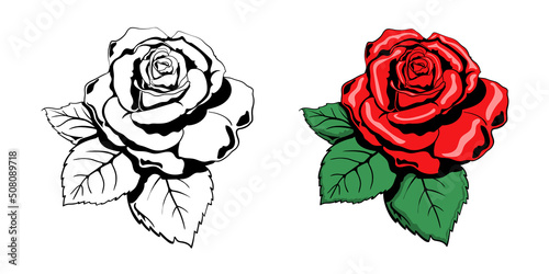 Rose vector illustration. Black and white and color image of a rose for stickers, tattoos, flower design. Coloring.