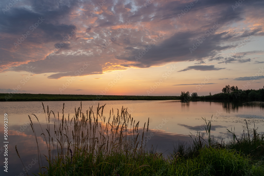 Sunset over the lake. The clouds and sky are pink. Reflection in the water. Reeds grow on the shore.