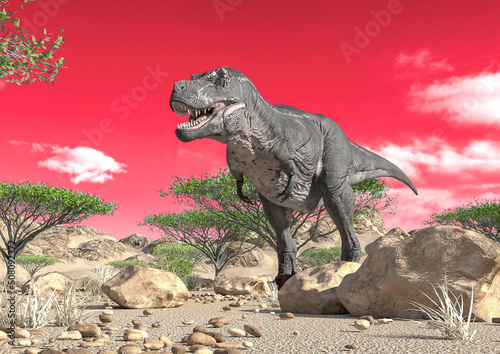 tyrannosaurus alone on desert