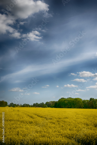 The perfect landscape of fields in a sunny day with perfect clouds in the sky
