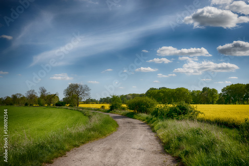 The perfect landscape of fields in a sunny day with perfect clouds in the sky