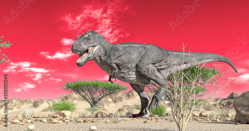 tyrannosaurus is walking alone on desert panoramic view