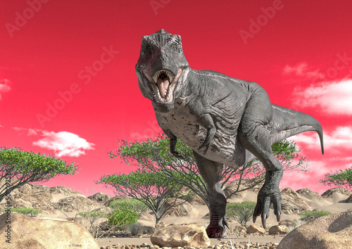 tyrannosaurus is walking alone on desert © DM7