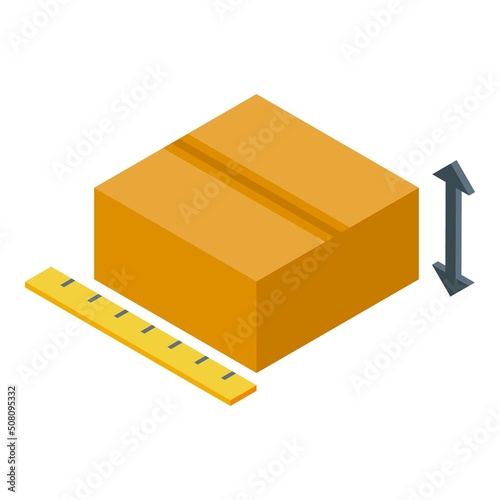 Parcel size icon isometric vector. Home package. Post door