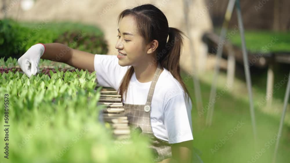 Asian female farmers monitor growth and collect research data and analyze vegetable growth in organic farms. Asian female farmers monitor growth and collect research data and analyze vegetable growth in organic farms.