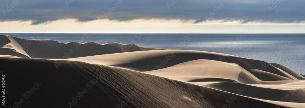 Namibia, the Namib desert, landscape of yellow dunes falling into the sea, the wind blowing on the sand
