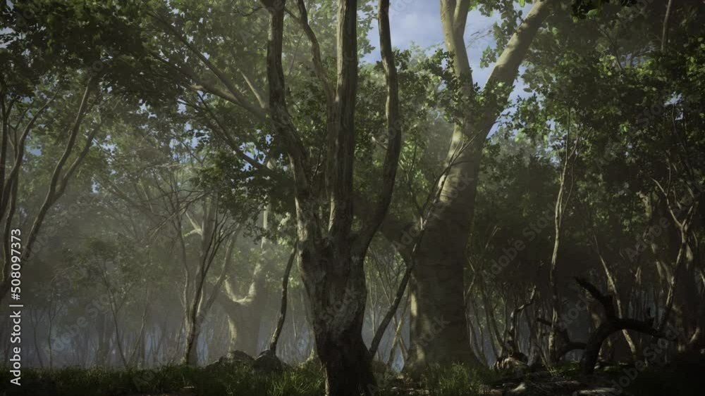 Deep tropical jungle in darkness Deep tropical jungle in darkness