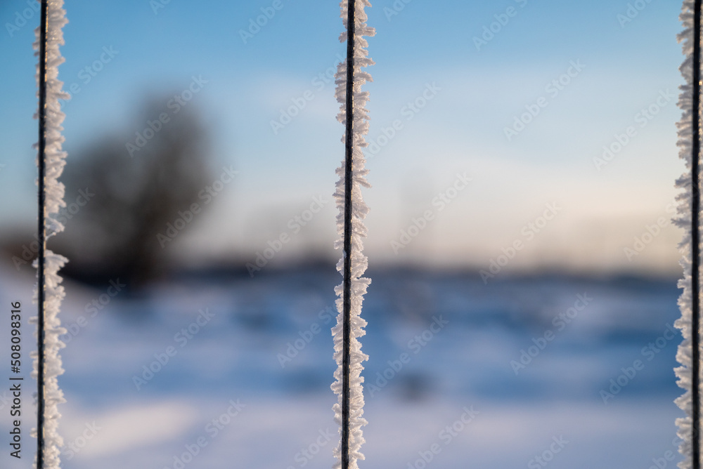 Very cold fence with snow flakes in winter Very cold fence with snow flakes in winter