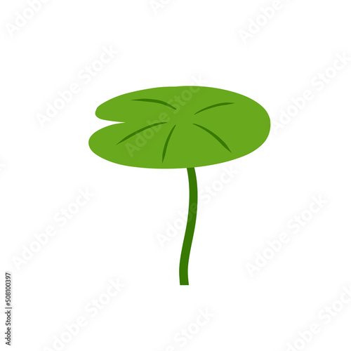 Water lily in pond. River plant. Green leaves. Nature of swamp, scenery of lake.