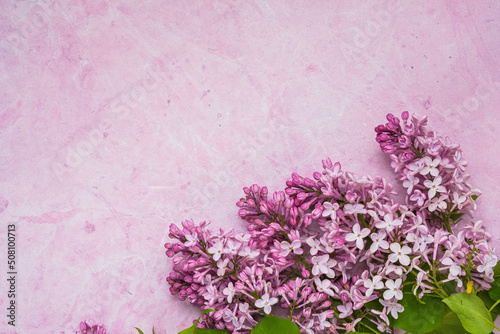 Branches of pink lilacs on a pink concrete background with space for text. Blank for holiday greeting cards or postcards.