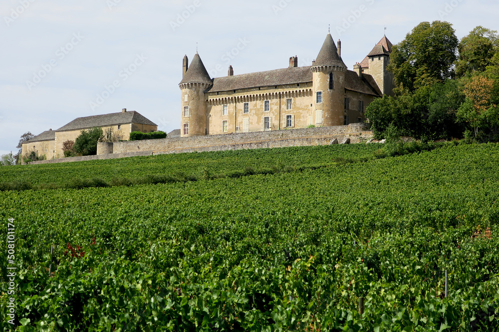 Castillo de Rully (Château de Rully)