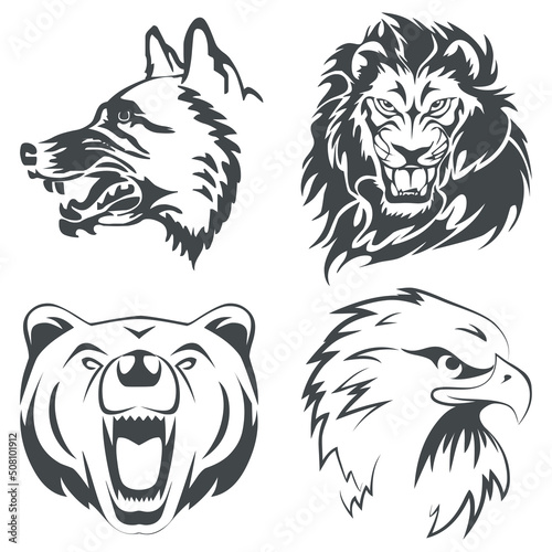 Lion Eagle Wolf Bear logo Template, Hawk Grizzly Coyote Mascot head