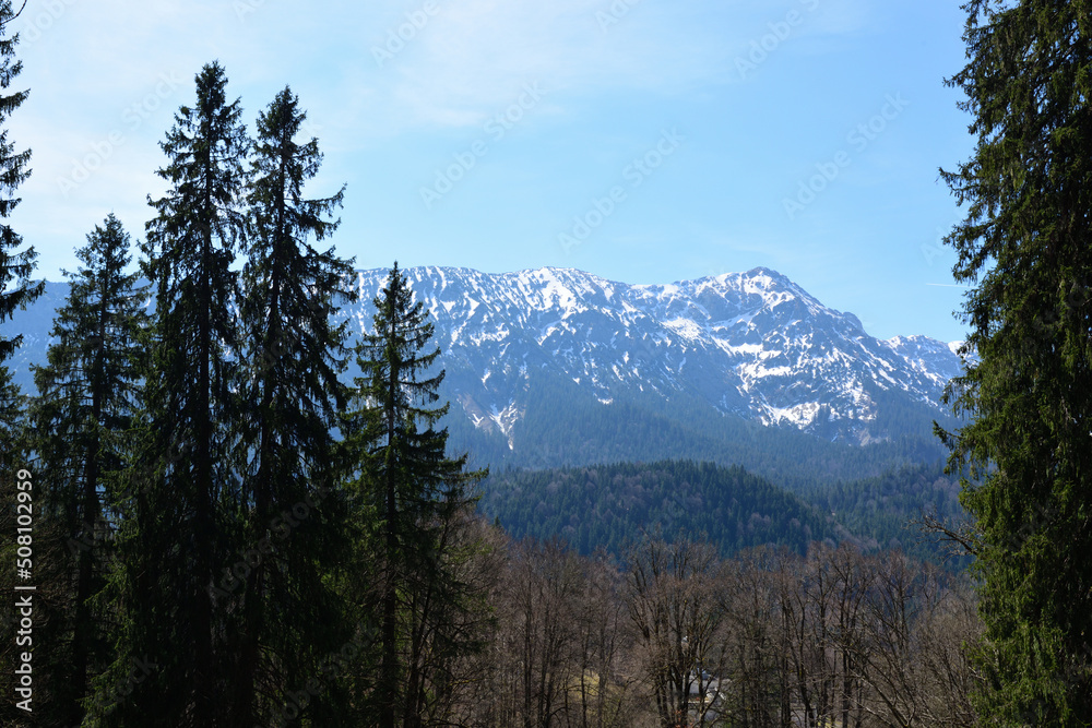 alpen in ettal, bayern, deutschland