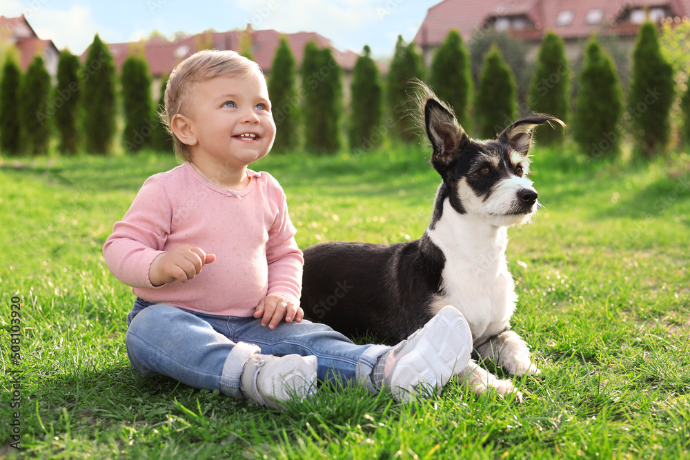 Adorable baby and furry little dog on green grass outdoors Adorable baby and furry little dog on green grass outdoors