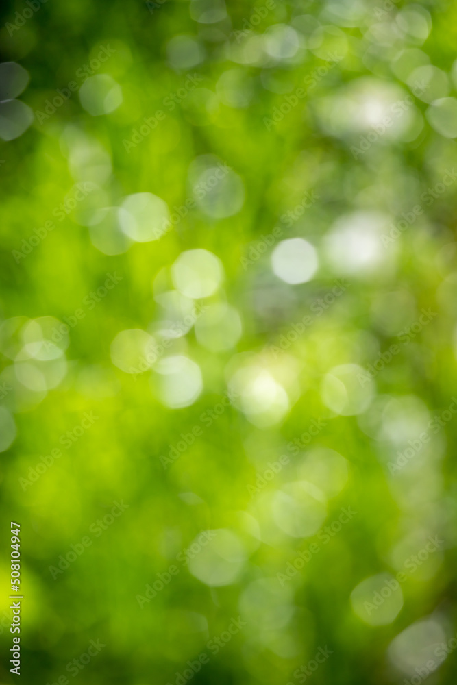 abstract blurred green background, nature bokeh abstract blurred green background, nature bokeh