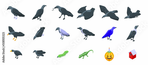 Raven icons set isometric vector. Animal bird. Dark feather